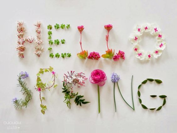 Hello_Spring