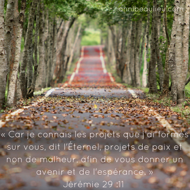 « Car je connais les projets que j'ai formés sur vous, dit l'Éternel, projets de paix et non de malheur, afin de vous donner un avenir et de l'espérance. » Jérémie 29 -11
